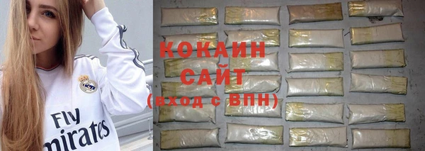 стафф Богданович