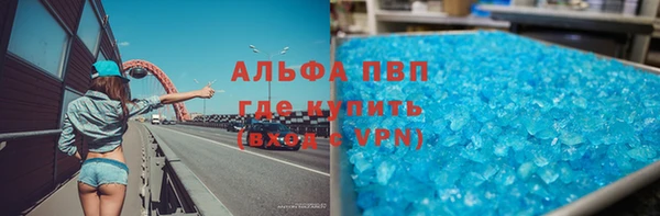 стафф Богданович