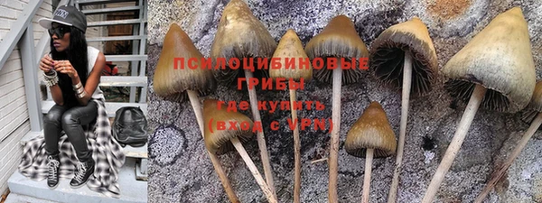 дмт Богородск