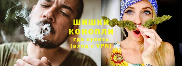 стафф Богданович
