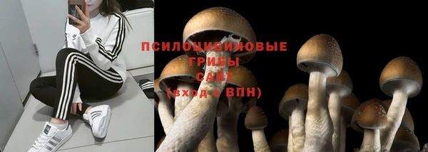 дмт Богородск