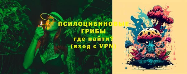 дмт Богородск