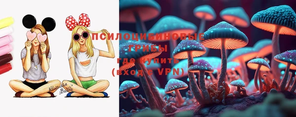 гашиш Богородицк