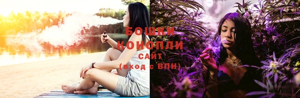 стафф Богданович